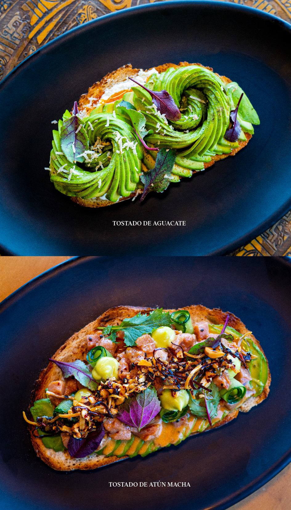 Tostado de Aguacate y Tostado de Atún Macha